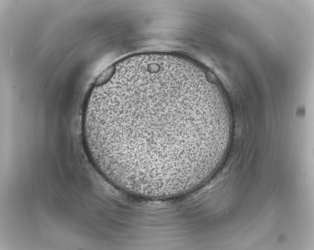 X0000093601459200711121137