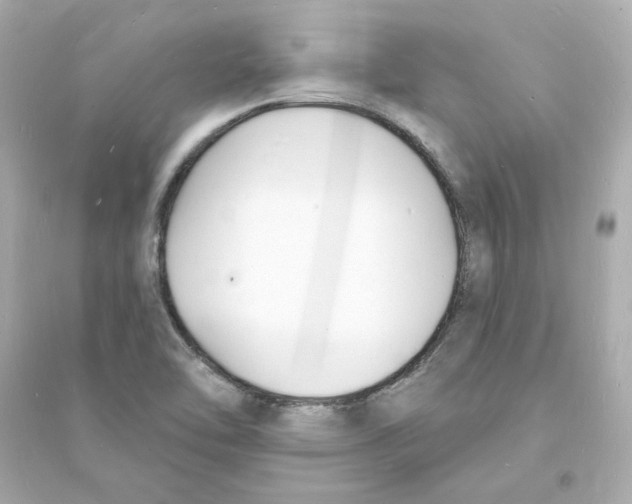 X0000093601462200711121137