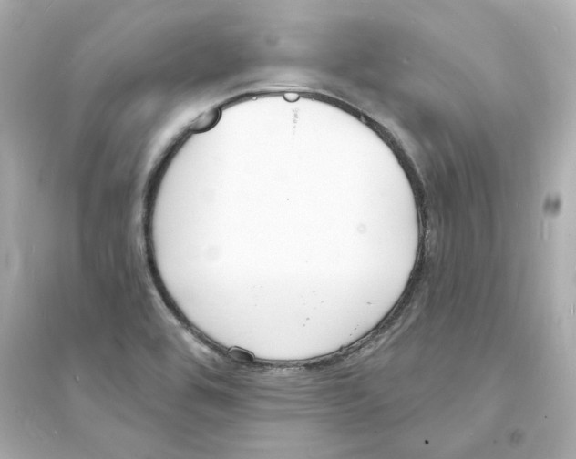 X0000093601464200711121137