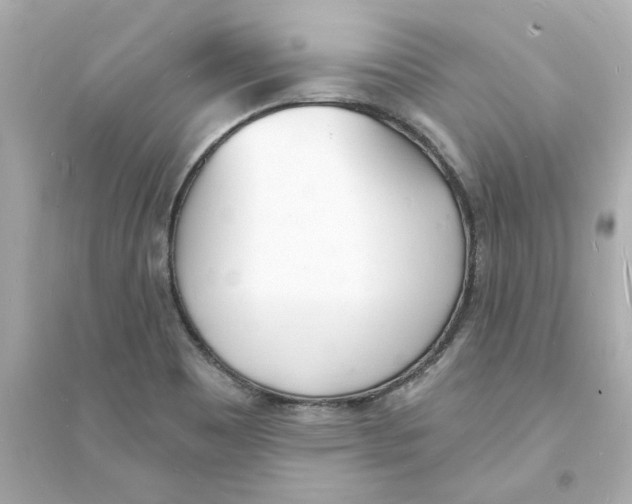 X0000093601465200711121137