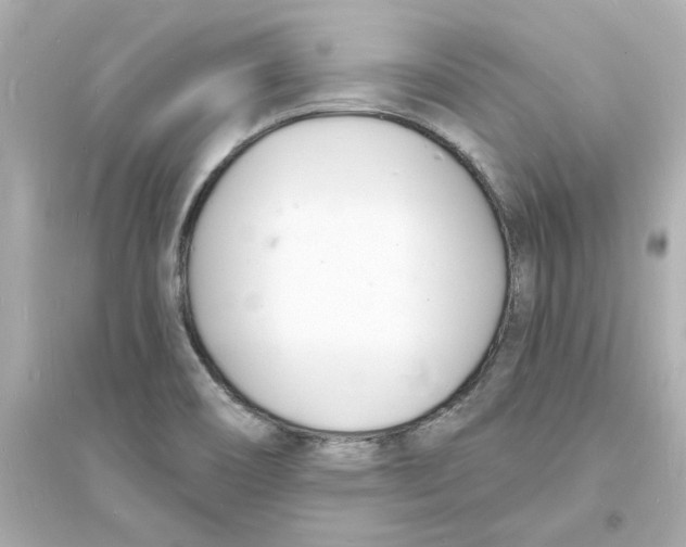 X0000093601466200711121137