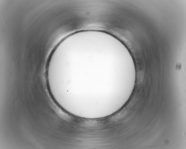 X0000093601470200711121137