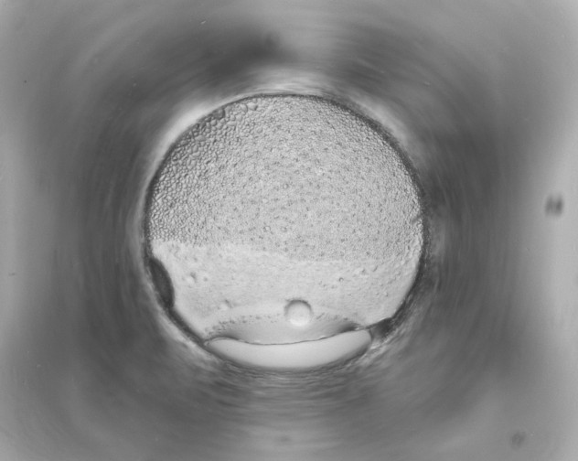 X0000093601471200711121137