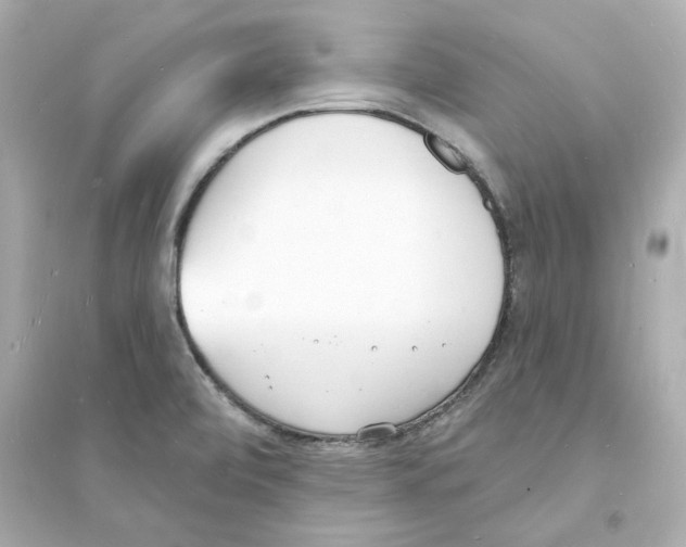 X0000093601472200711121137