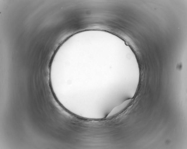 X0000093601476200711121137