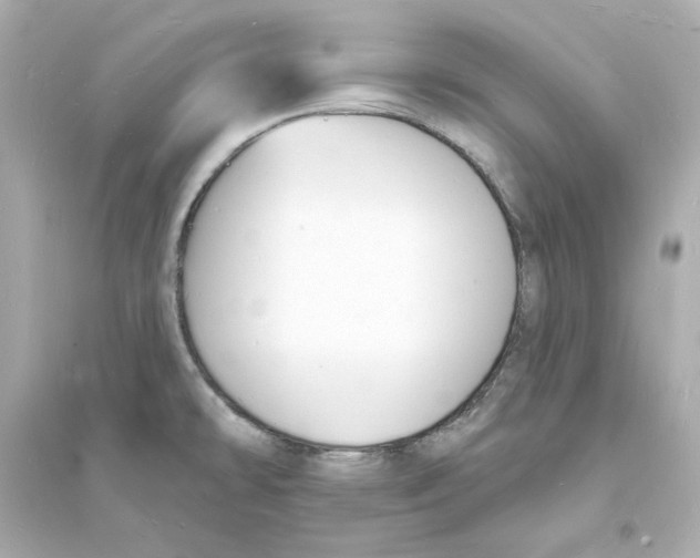 X0000093601478200711121137