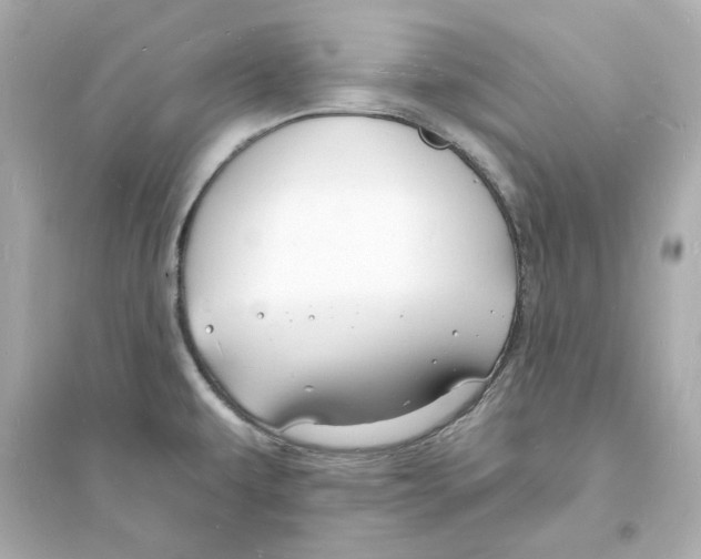 X0000093601479200711121137