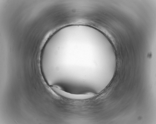 X0000093601480200711121137