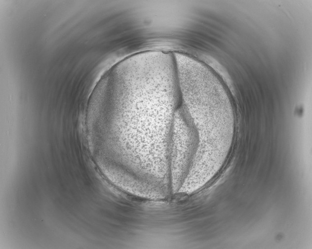 X0000093601481200711121137