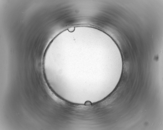 X0000093601482200711121137