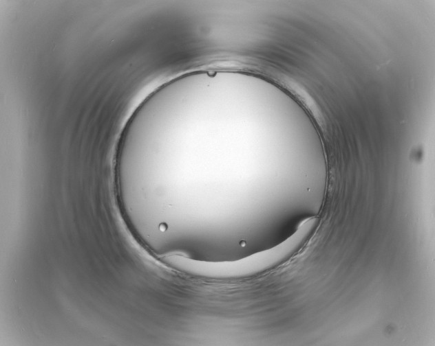 X0000093601483200711121137