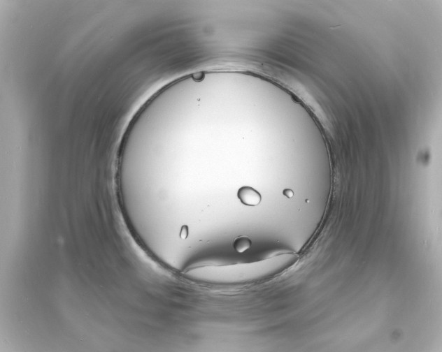 X0000093601484200711121137