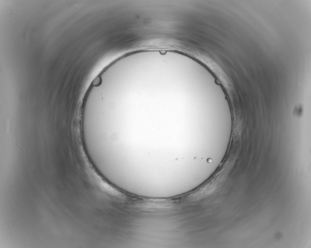 X0000093601486200711121137