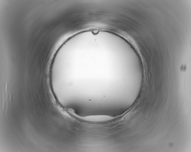 X0000093601488200711121137