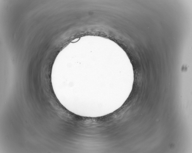 X0000093601489200711121136