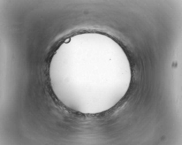 X0000093601494200711121136