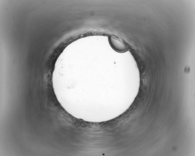 X0000093601495200711121136