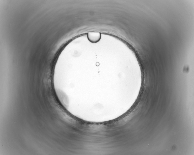 X0000093601498200711121136