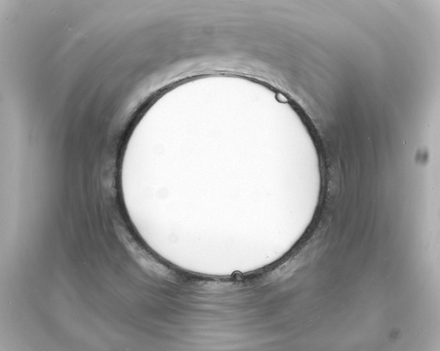 X0000093601499200711121136