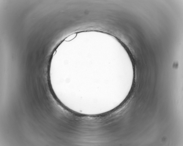 X0000093601500200711121136