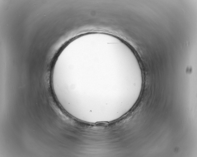 X0000093601503200711121136