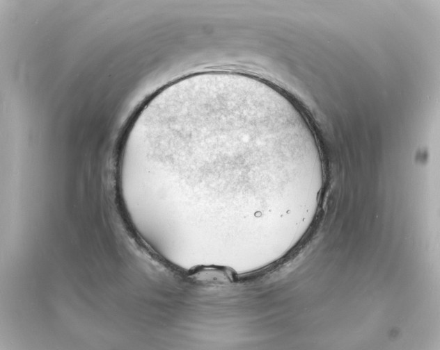 X0000093601506200711121136