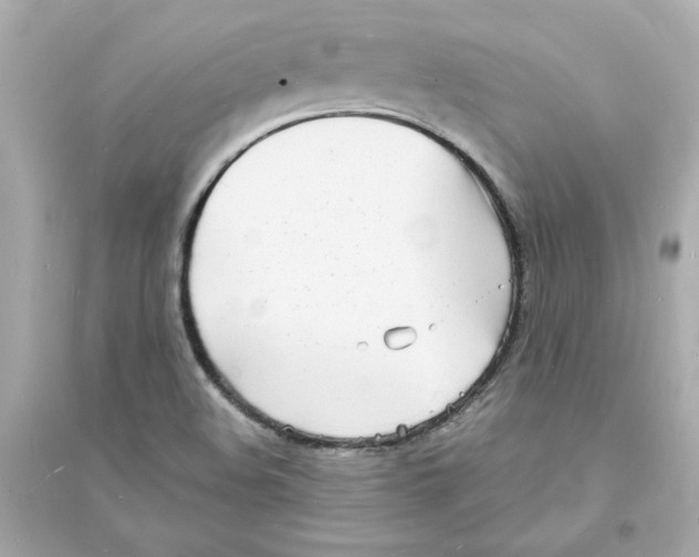 X0000093601508200711121136