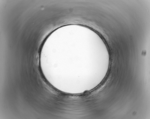 X0000093601509200711121136