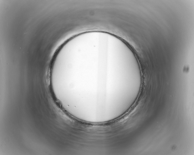 X0000093601510200711121136