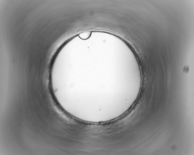 X0000093601511200711121136