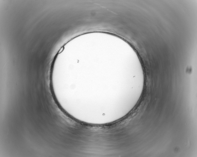 X0000093601512200711121136