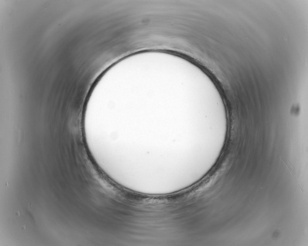 X0000093601513200711121136