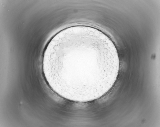 X0000093601514200711121136