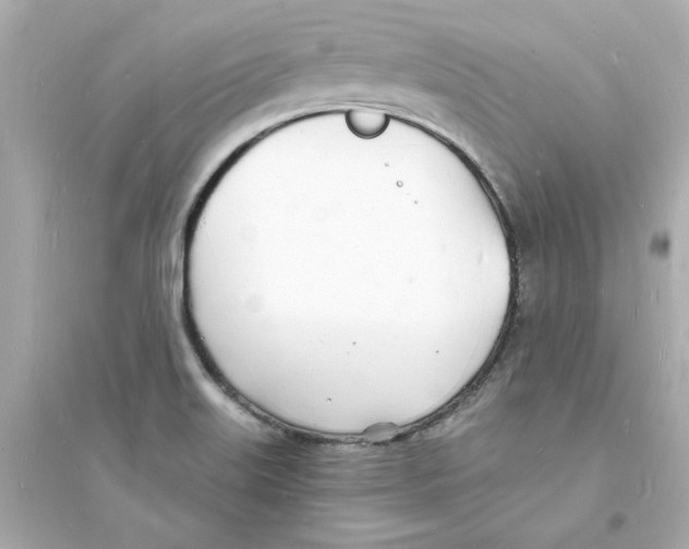 X0000093601515200711121136