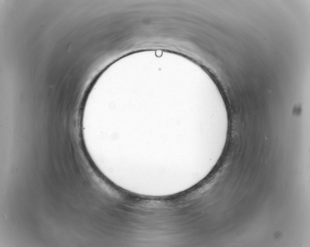 X0000093601517200711121136