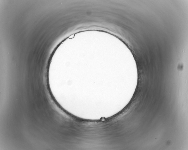 X0000093601518200711121136