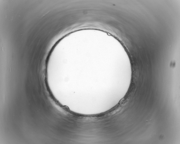 X0000093601519200711121136