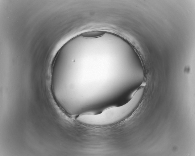 X0000093601520200711121136