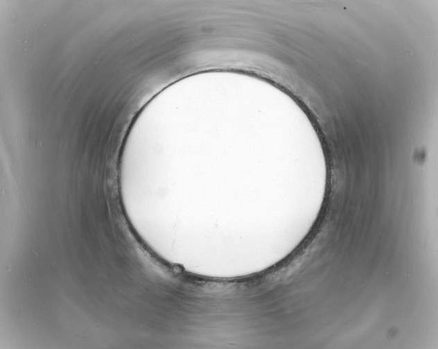 X0000093601521200711121136