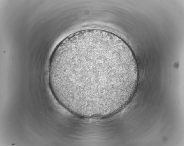 X0000093601522200711121136