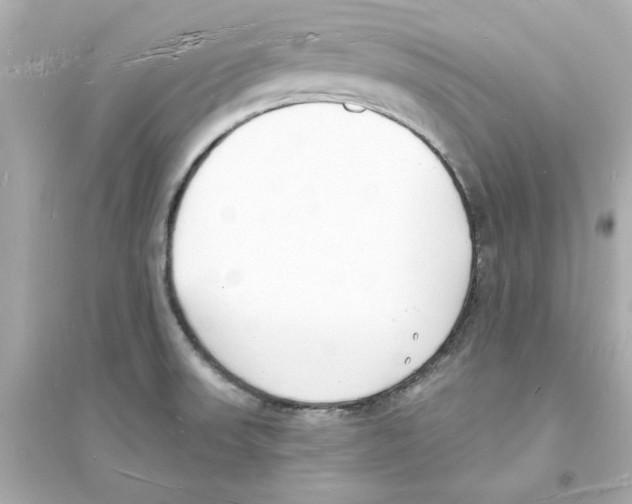 X0000093601523200711121136