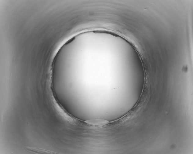 X0000093601524200711121136