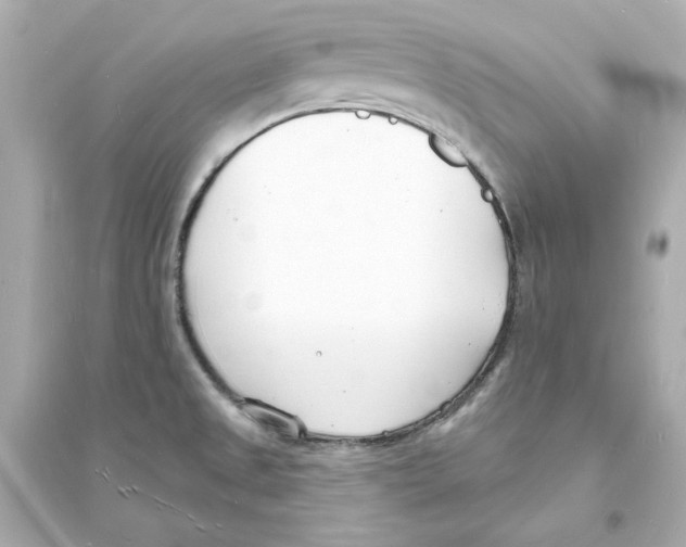 X0000093601525200711121136