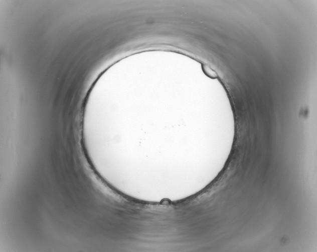 X0000093601526200711121136