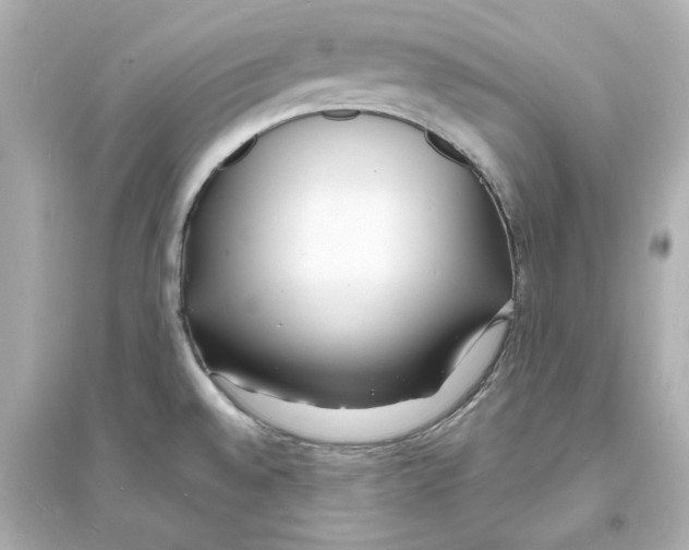 X0000093601528200711121136