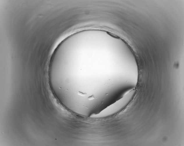 X0000093601530200711121136