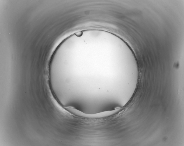 X0000093601531200711121136