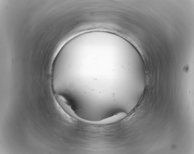 X0000093601532200711121136