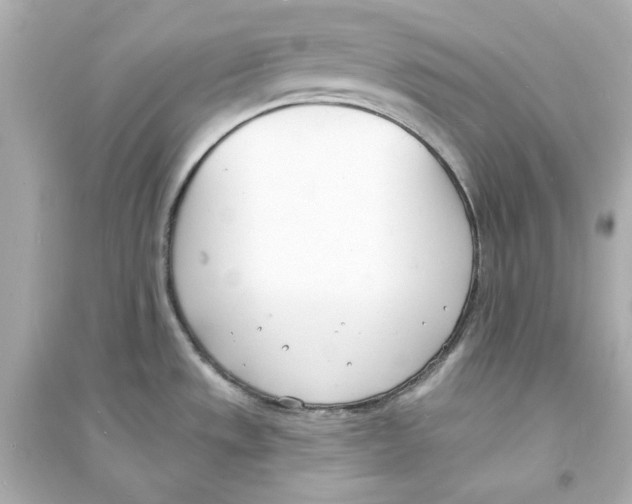 X0000093601533200711121136