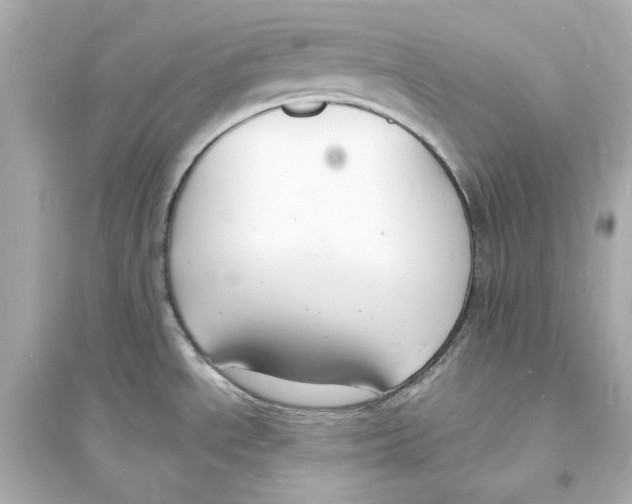 X0000093601534200711121136